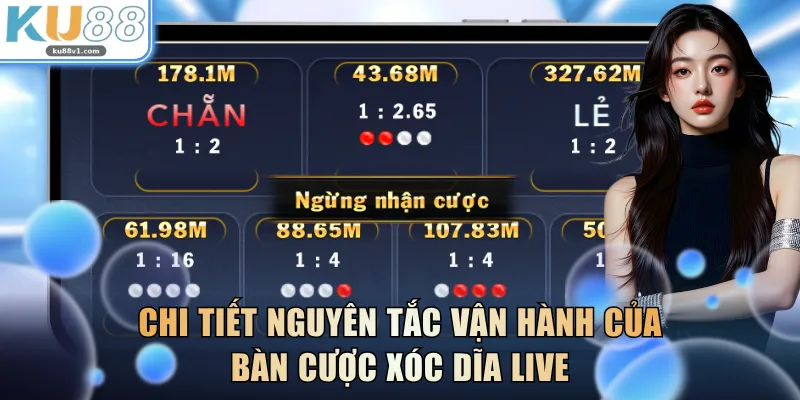 Chi tiết nguyên tắc vận hành của bàn cược Xóc Dĩa Live