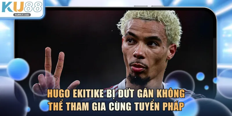 Hugo Ekitike bị đứt gân không thể tham gia cùng tuyển Pháp